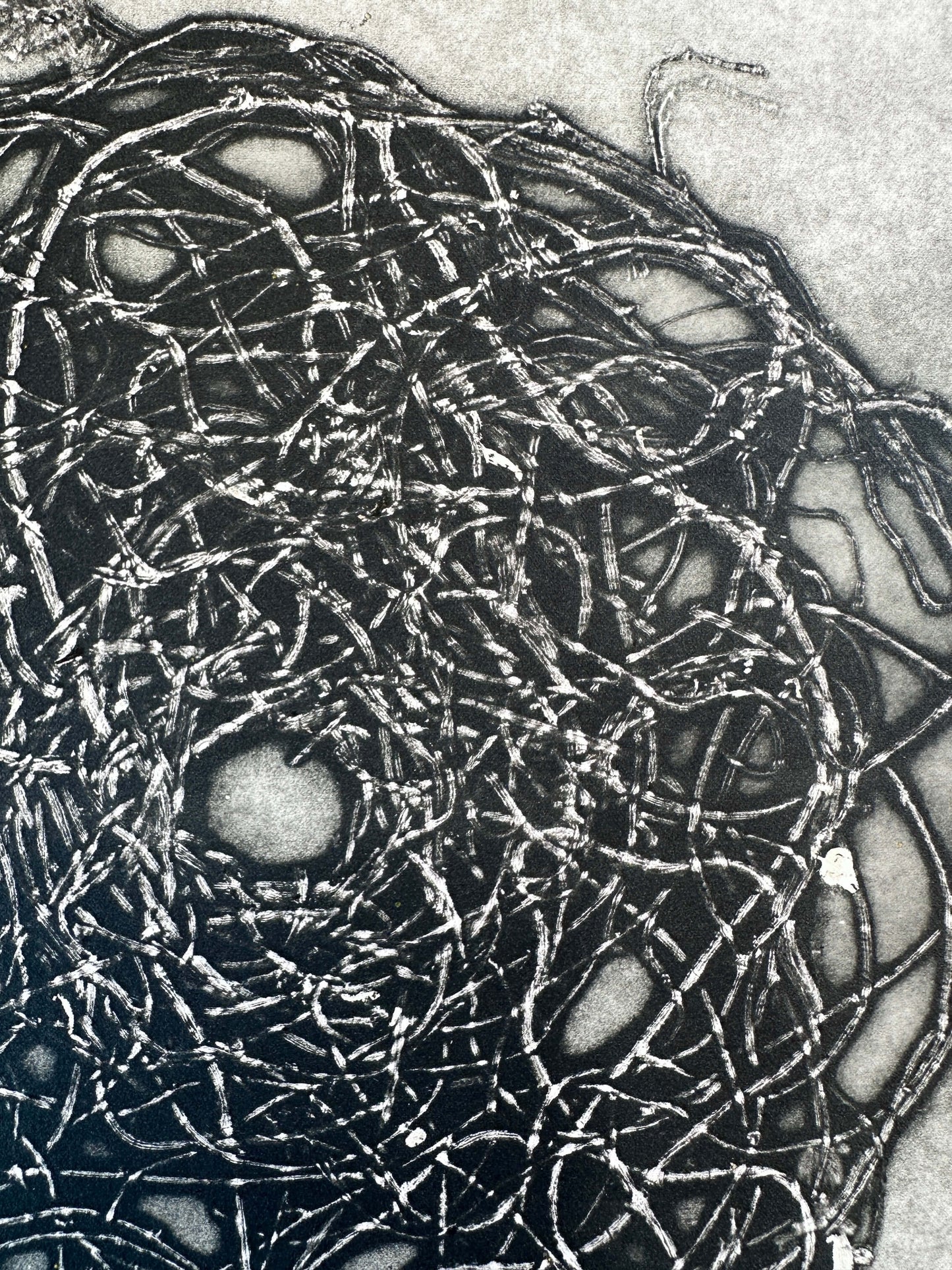 "entangled" V.E. 2/10