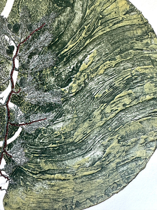 From the Sea, V.E. 1/6