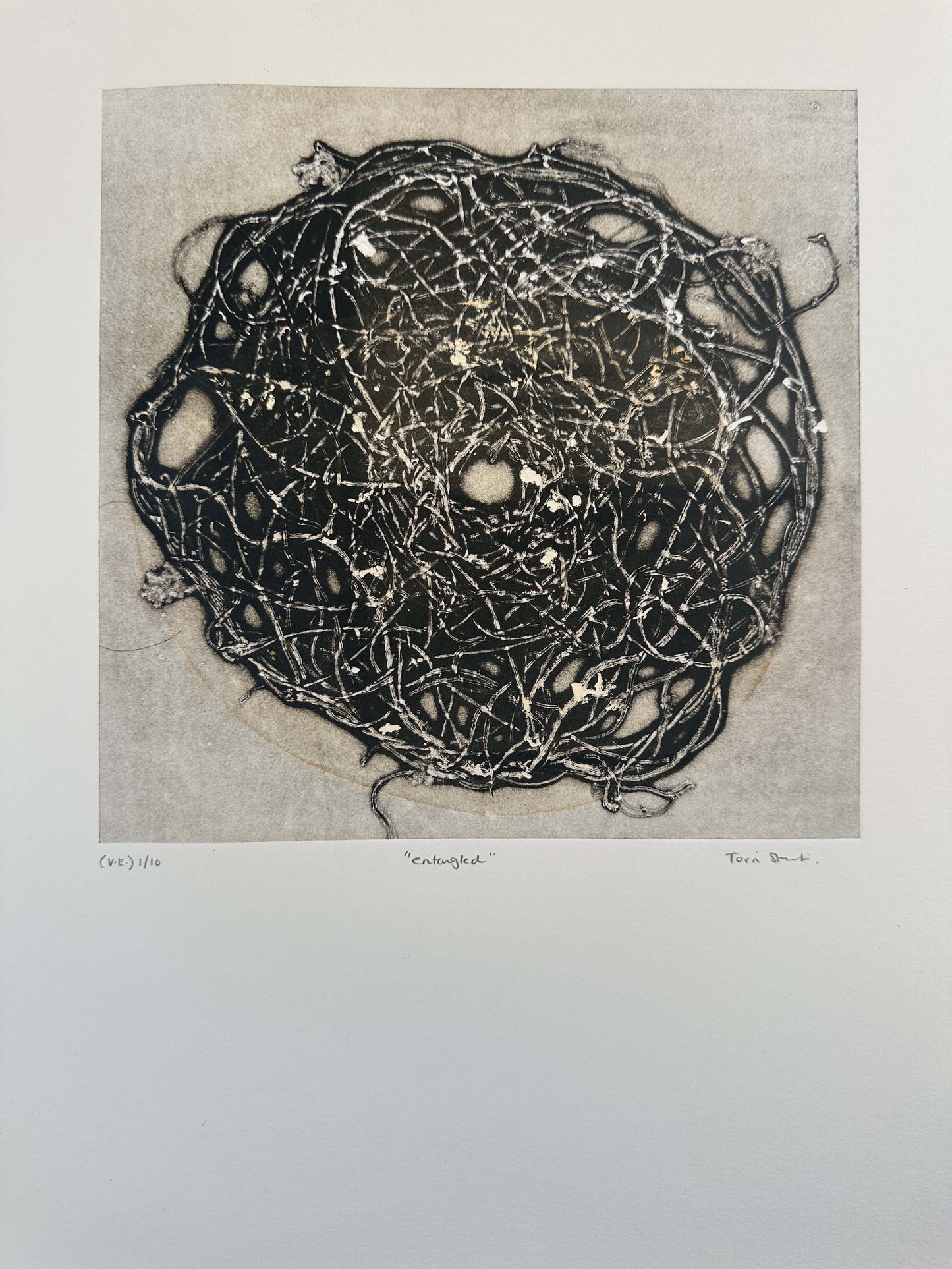 "entangled" V.E. 1/10