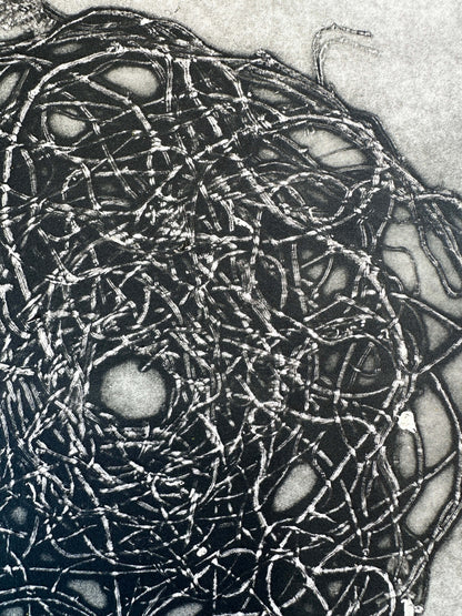 "entangled" V.E. 2/10