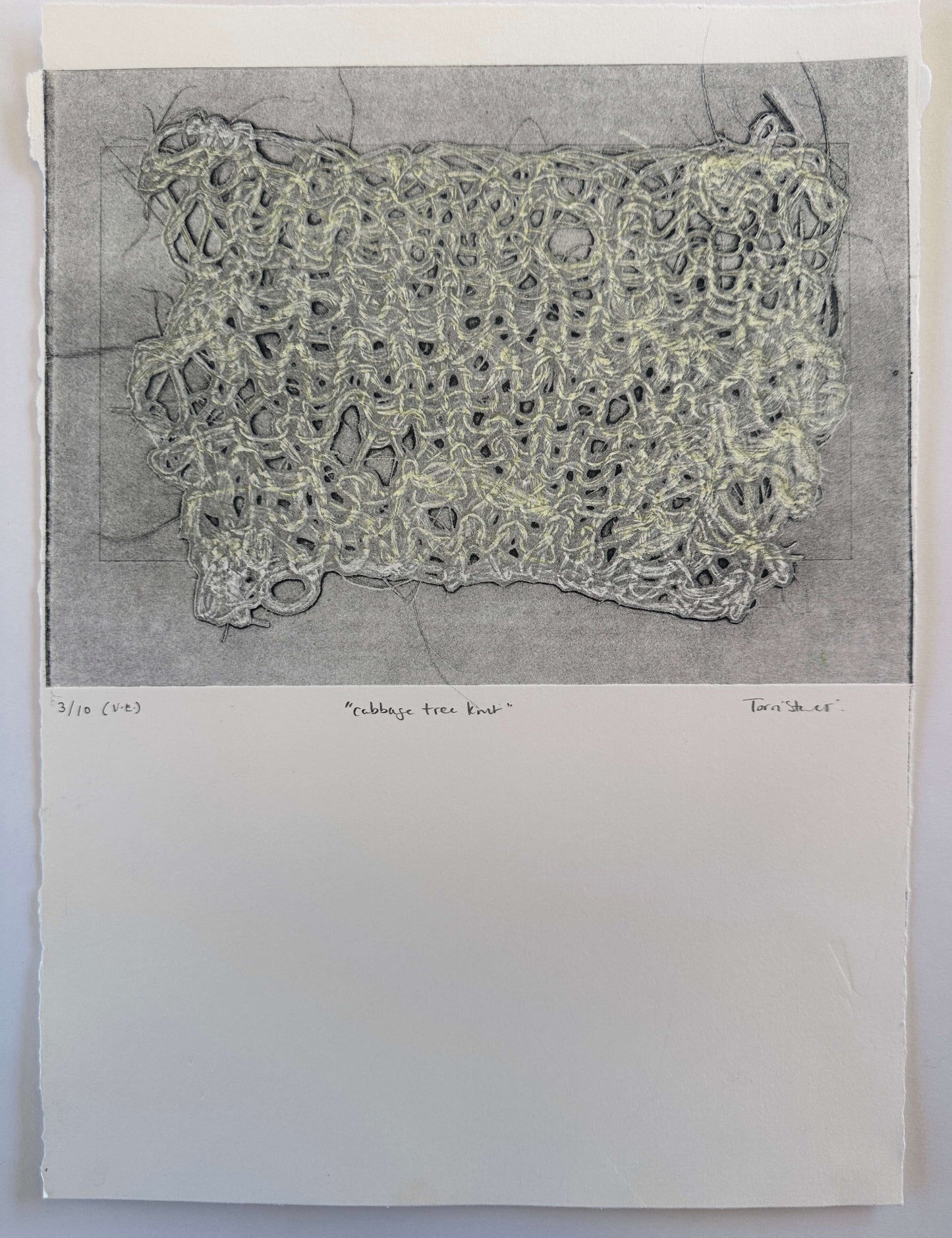 "cabbage tree knit" V.E. 3/10